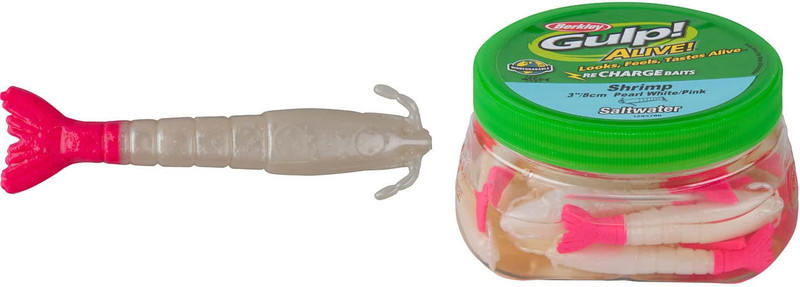 Buy Gulp Alive Fishing Berkley 3 inch Shrimp Pearl White Bundle 2