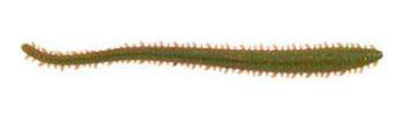 Berkley GSSW2-C Gulp! Freshwater Sandworm