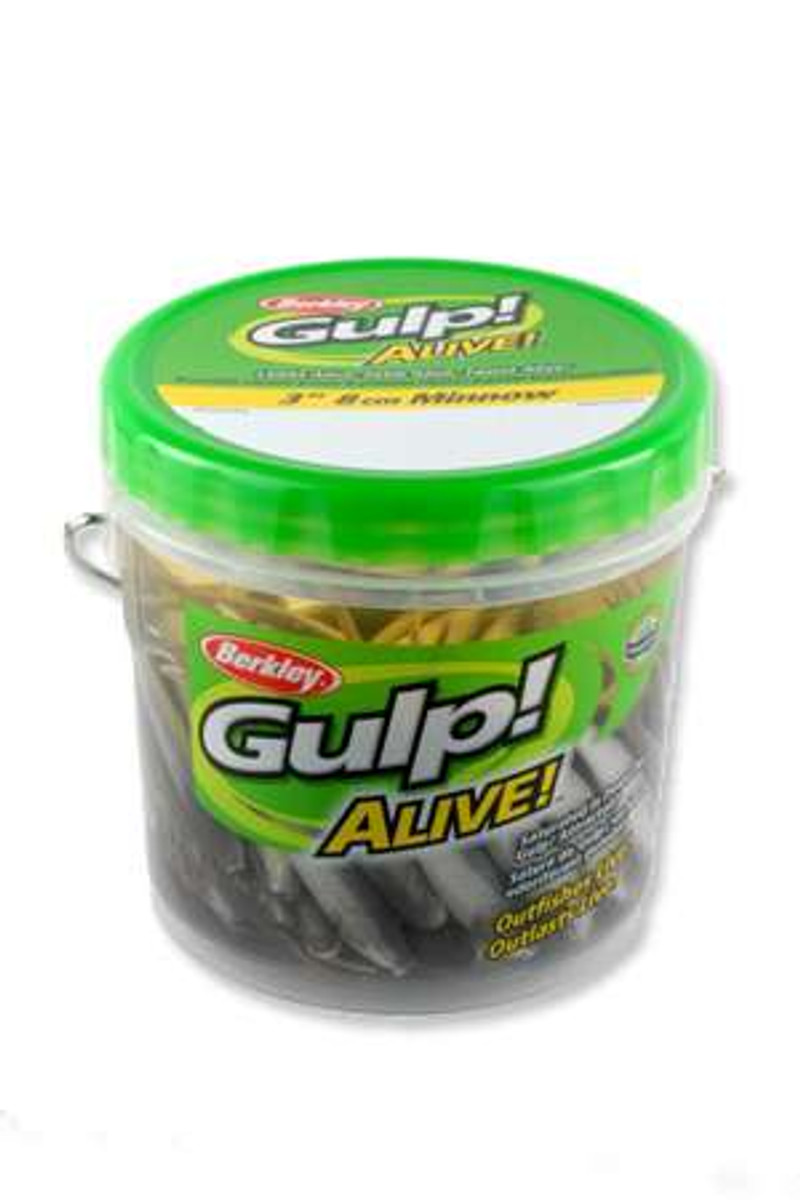 Berkley Gulp! Alive! Minnow Bucket Fishing Bait (4-Inch