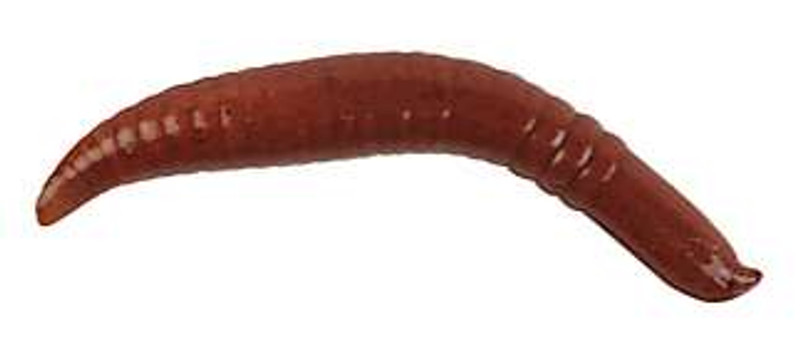 Berkley Gulp! Floating Pinched Crawler Soft Bait, Chunky Cheese