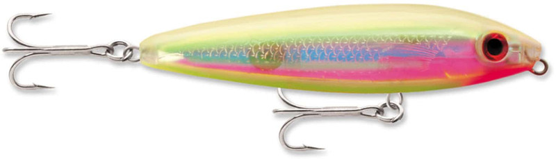 Big Catch Fishing Tackle - Rapala Skitter V 10