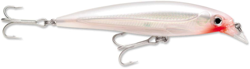 Rapala X-Rap Saltwater Fishing Lure (Silver, 4.75-Inch) : :  Sports, Fitness & Outdoors