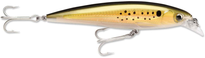 X-Rap Saltwater 10 Silver