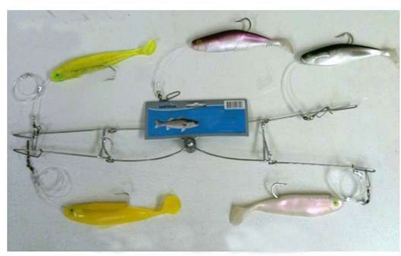 Shad Umbrella Rig