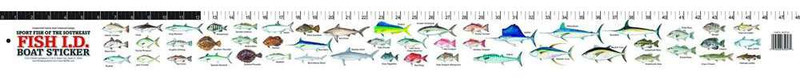 Florida Sportsman Fish ID Boat Sticker - Upper Atlantic - TackleDirect