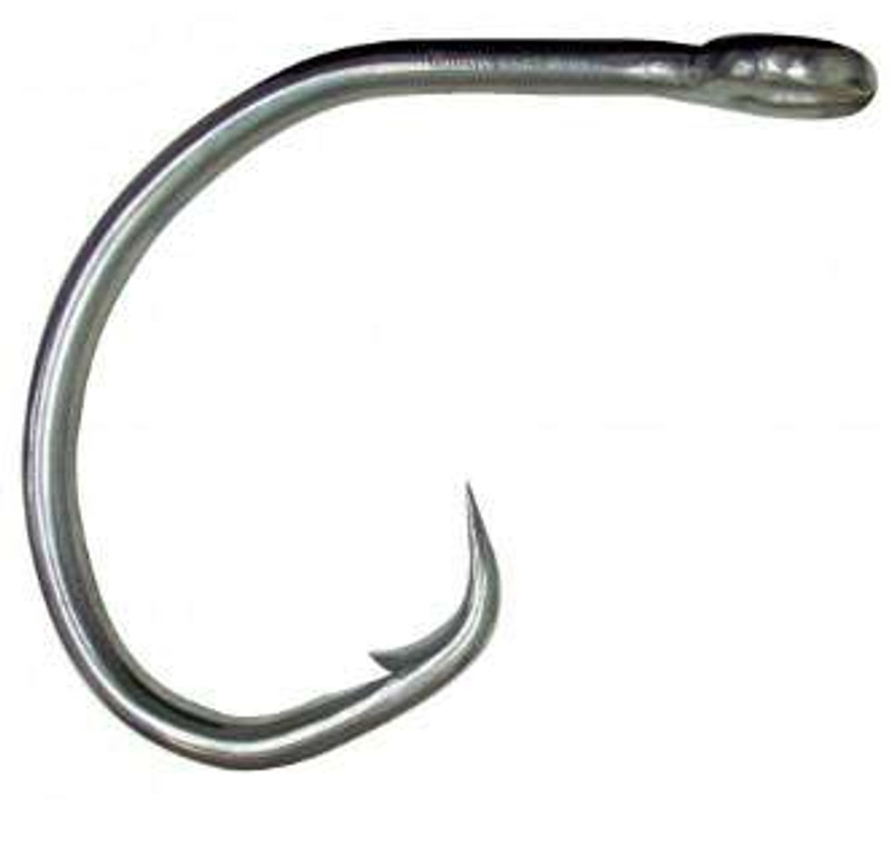 Shad Dock Fishing Pack of 20 10827 Black Live Bait Fishing Hook Marine  Stainless Steel Circle Fish Hook with Inline Sharp Point