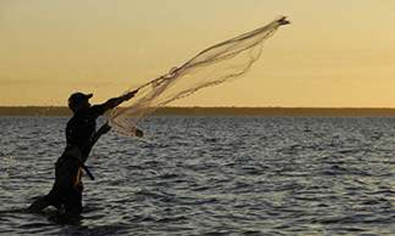 Betts Tackle Casting Nets and Bait Nets - TackleDirect