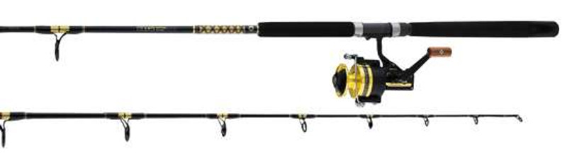 Daiwa BG Saltwater Spinning Combos - TackleDirect