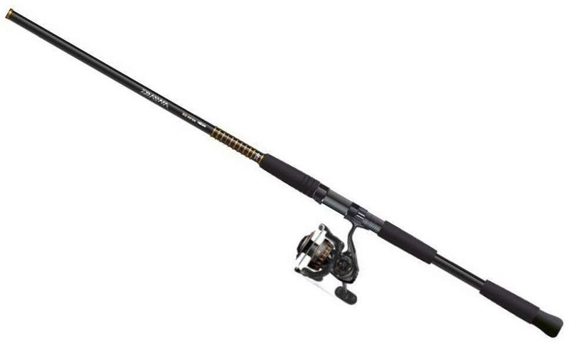 Daiwa BG6500/701H BG Saltwater Spinning Combo