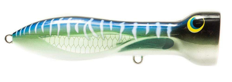 Nomad Design Chugg Norris Popper Lures - TackleDirect