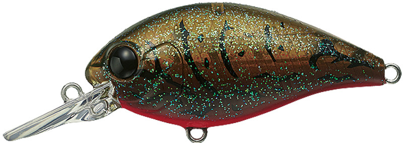  Daiwa Evergreen Crank Lure, 6', Olive Crawdad - CR-6-216 :  Sports & Outdoors