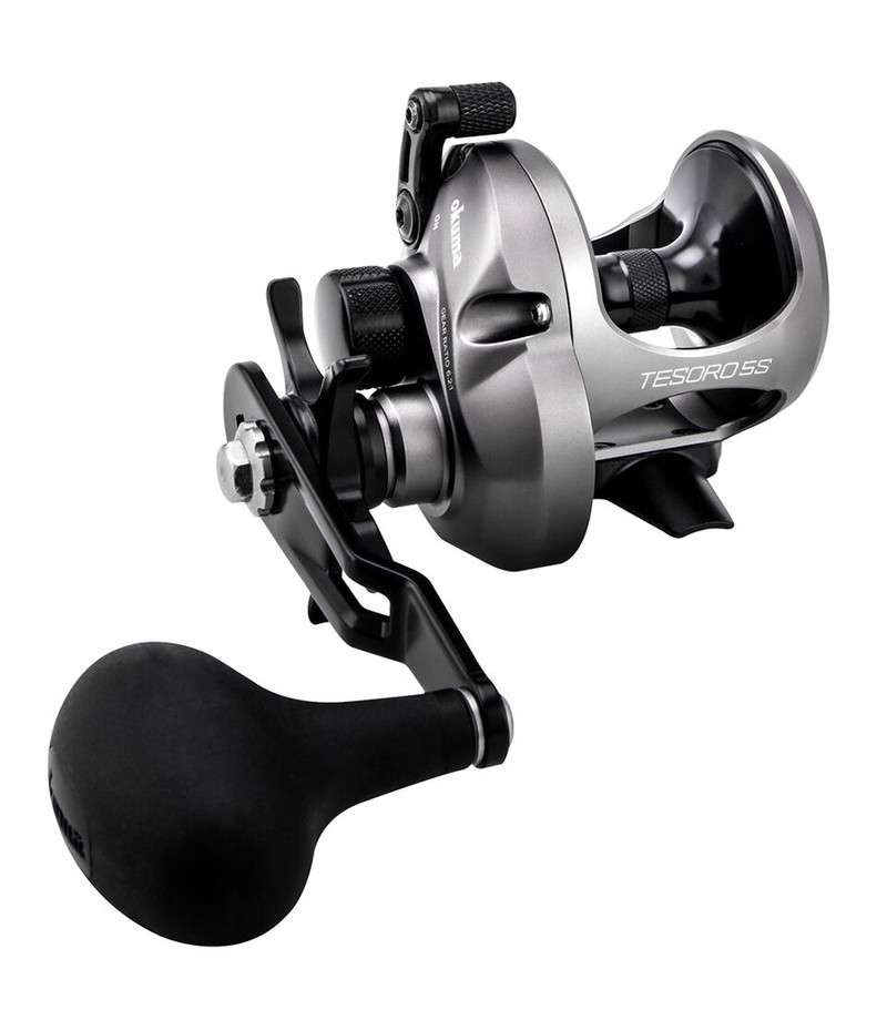 Buy Okuma Cavalla 5 4BB High Speed Reel Silver online at