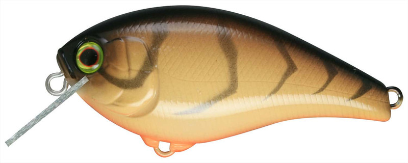 IBASSIN: Jackall's Aska crankbait