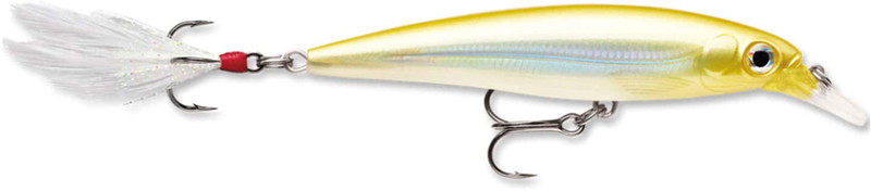 Rapala X-Rap Deep 10cm  Avicentra Hengelsport Oostvoorne