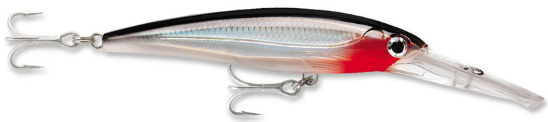 Rapala X-Rap Magnum 10 Fishing Lure, 4.375-Inch, Glass Ghost : :  Sports, Fitness & Outdoors