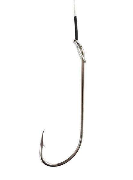 2x long 2x heavy fish hook 1920-2X Stainless Steel by Maruto Size 4 10 pack Expertly designed for rigging large soft plastics Daiichi 1710 2X-Long Nymph Hook