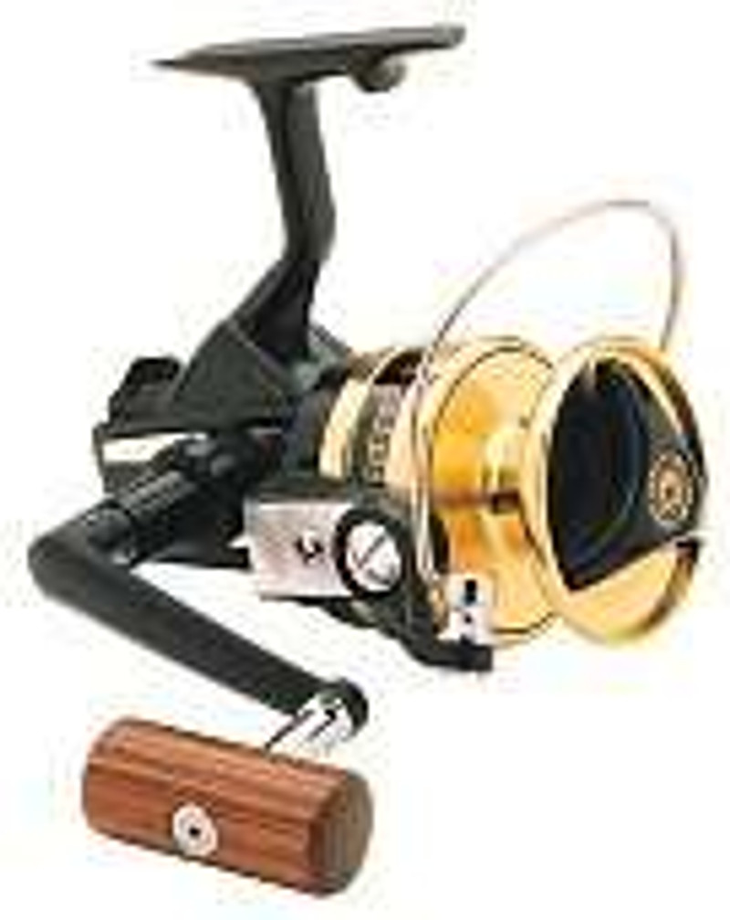 Daiwa BG30 Black Gold Spin Reel for sale online