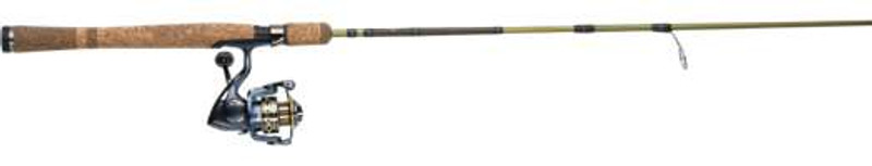 Pflueger President Eagle Spinning Combo