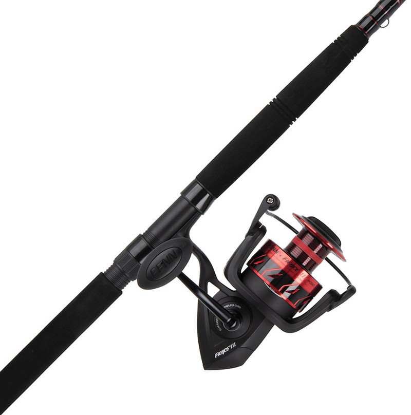 Daiwa BG Pre-Mounted Saltwater Spinning Combo 10ft Surf