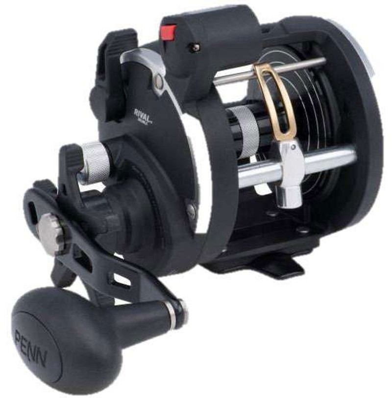 Penn RIV20LWLC Rival Level Wind Reel - TackleDirect