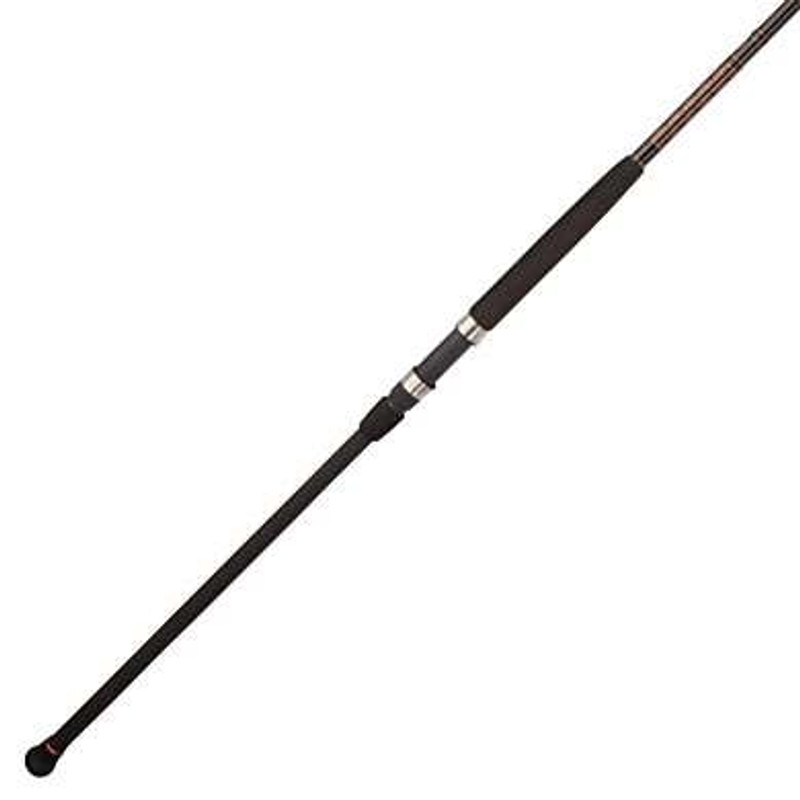 PENN Saltwater Fishing Boat Rod SQUADRON II CF Vertical