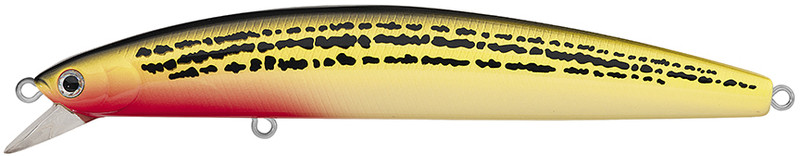  Daiwa SP Salt Pro Minnow - Black Purple : Fishing Lures :  Sports & Outdoors