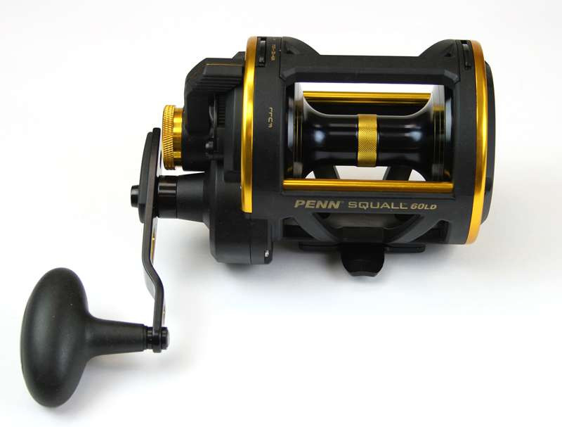  PENN Squall II Lever Drag Fishing Reel, Size 40, Graphite Body  and Sideplates, Stainless Steel Main and Pinion Gears, Powerful PENN  Dura-Drag : Sports & Outdoors