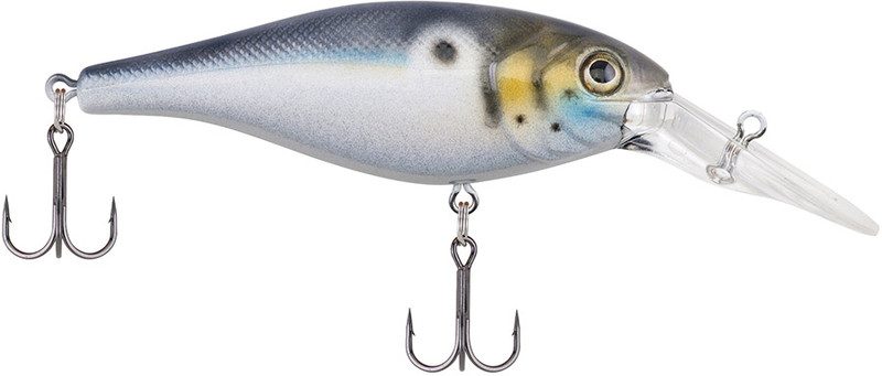 Berkley BHBBS8 Bad Shad Crankbait - Blue Back - TackleDirect