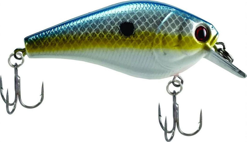 Green Copper Shad