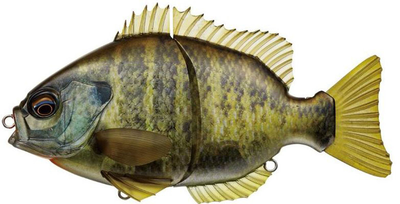 Evergreen International Bream Slide Swimbait Product Review