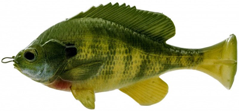 Savage Gear Pulse Tail Bluegill LB Swimbaits - TackleDirect