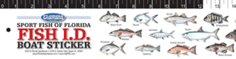 Florida Sportsman Fish ID Boat Sticker - Upper Atlantic - TackleDirect