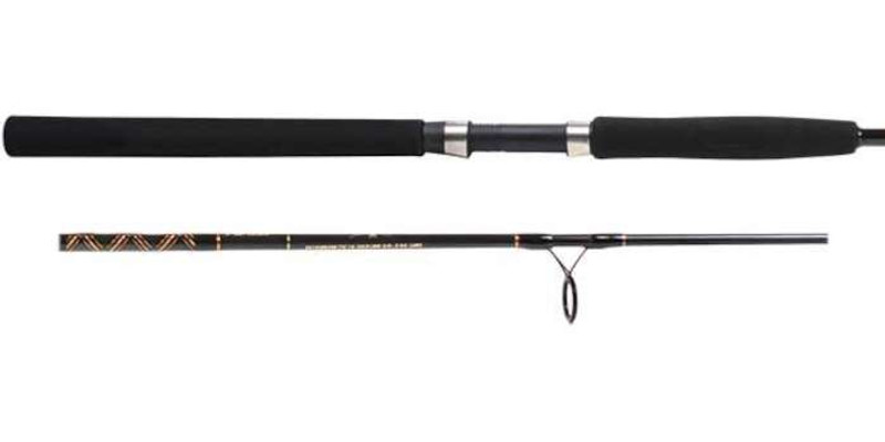 Seagis Inshore Spinning Rods