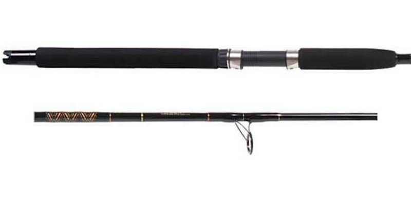 Star Rods Aerial Jetty Saltwater Spinning Rod - 7ft, Medium Power, Fast  Action, 1pc