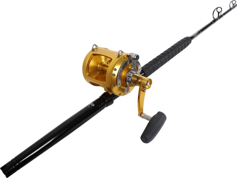 Avet EXW 50 2 Gold TackleDirect Platinum Hook Standup Combo