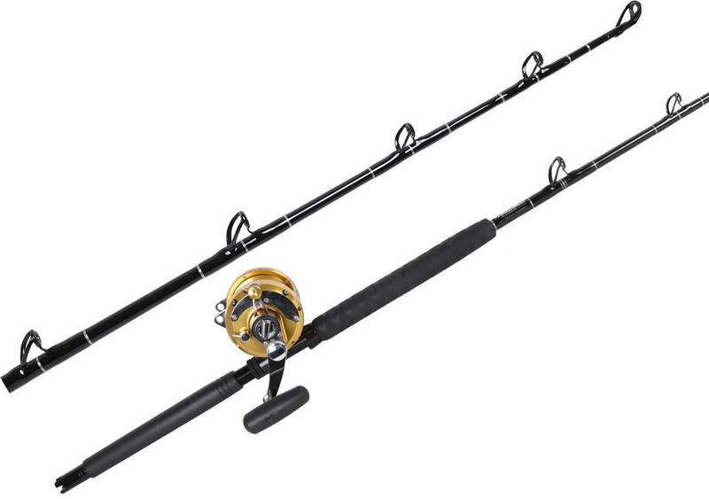 Avet EXW 50/2 Gold / TackleDirect Platinum Hook Standup Combo