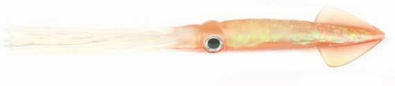 Tsunami HSQ6-25 Holographic Squid Lure 6 in. - 25 Pack - Natural Squid