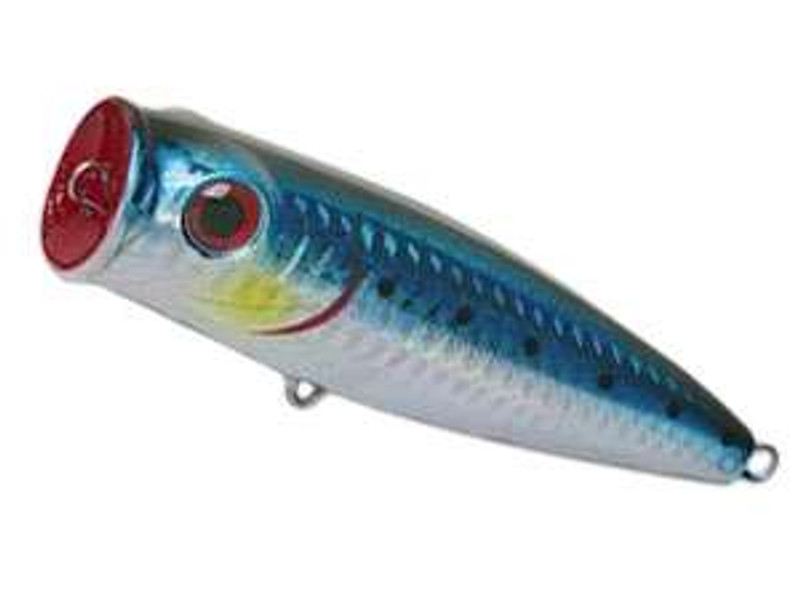 Tsunami Talking Popper Lures - TackleDirect