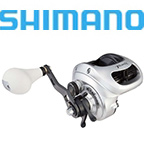 Shimano Saltwater Low Profile Baitcasting Reels