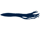 Saltwater Trolling Lures