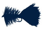 Freshwater Flies