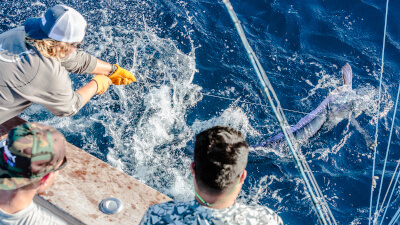 2024 White Marlin Open Fishing Tournament - TackleDirect