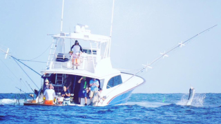 2023 White Marlin Open Tournament - TackleDirect