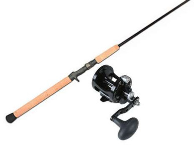 Avet MXL5.8 Reel / Lamiglas TFX7030CT Tri-Flex Inshore Rod Combos