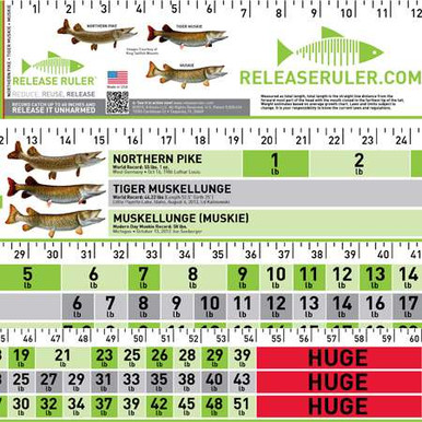 Pike Muskie Release Ruler - TackleDirect