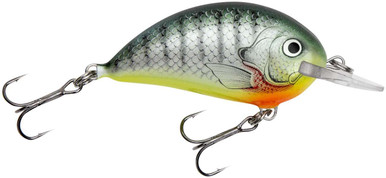 Bagley SB05 Sunny B 05 ? TackleDirect