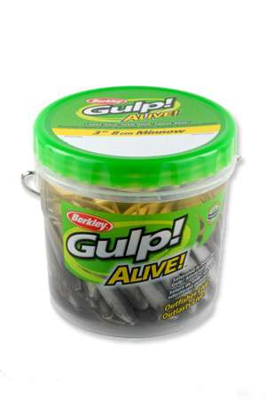 Smelt Fishing Lure Berkley Gulp! Alive! Minnow Smelt - 3 Inch