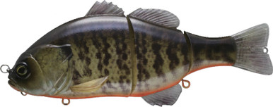 Leurre Jackall Gantarel 160mm - Floating Bluegill - Crankbait Articulé Sans Lèvres