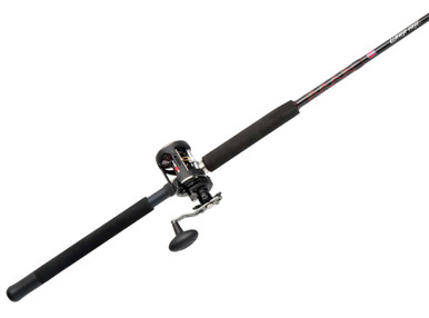 Penn WAR20LW2040C66 Warfare Level Wind Combo