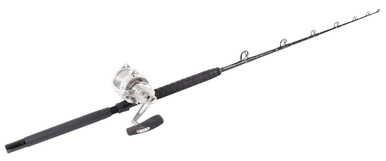 Penn Int. 30VISXS/TackleDirect Platinum Hook Standup Combo